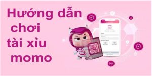 Hướng Dẫn Cách Chơi Tài Xỉu Momo Chi Tiết Tại Nhà Cái VN88